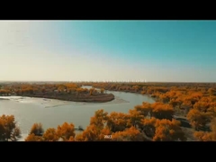 Construcción de la Liga Juvenil de Xinjiang